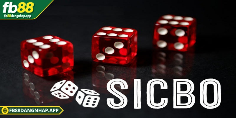 Cách chơi sicbo hiệu quả tại FB88 cho người mới thử thách Các loại cửa cược cho tân binh bắt đầu trải nghiệm sicbo hiệu quả
