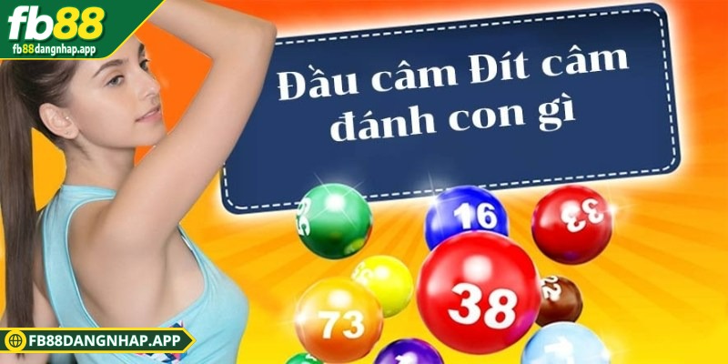 Thống kê lô câm FB88 hôm nay: Cập nhật, phân tích chính xác Giới thiệu về lô câm và tầm quan trọng của việc thống kê lô câm